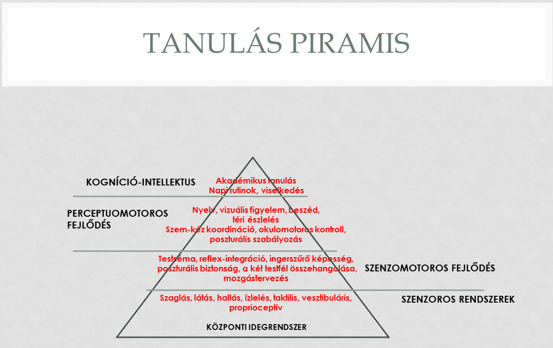 tanuláspiramis